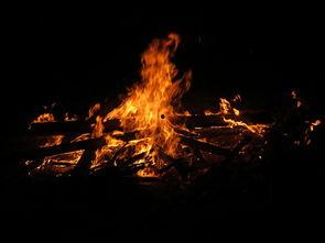 燃烧在线观看 免费,燃烧之旅等你开启 第2张 燃烧在线观看 免费,燃烧之旅等你开启 第2张