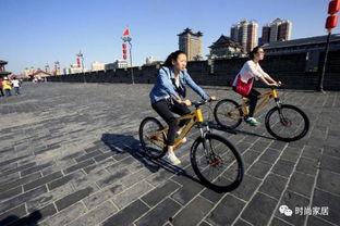 西安自行车爆料视频最新,街头奇观引发热议，揭秘城市交通新现象