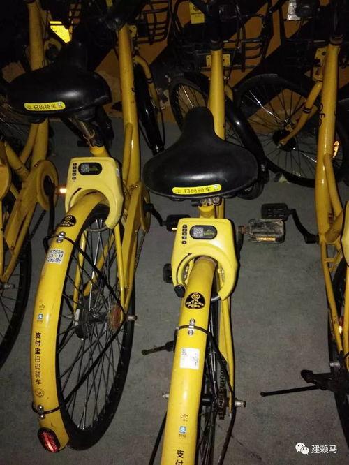 视频爆料如何强挂小黄车,视频爆料背后的秘密 第3张 视频爆料如何强挂小黄车,视频爆料背后的秘密 第3张